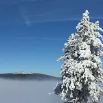 Harz-flair 264 Lägenhet *