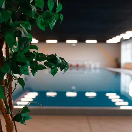 Harz-flair 264 * Hohegeiß