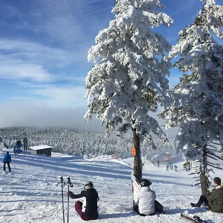 Appartamento Harz-flair 264