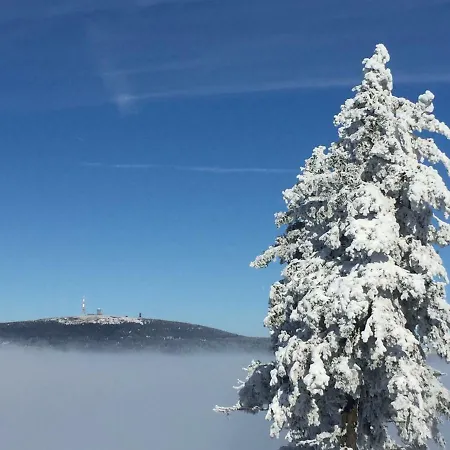 Harz-flair 264 Daire *