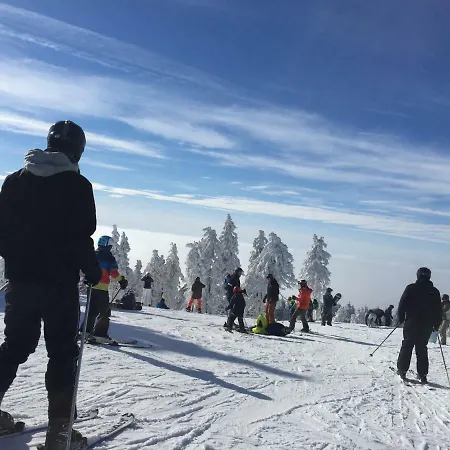 Harz-flair 264 Daire