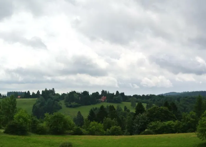 Apartman Harz-flair 264 *