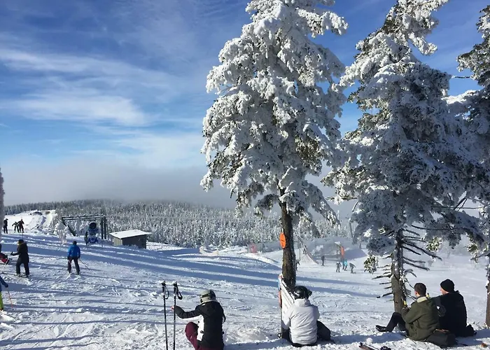 Apartman Harz-flair 264