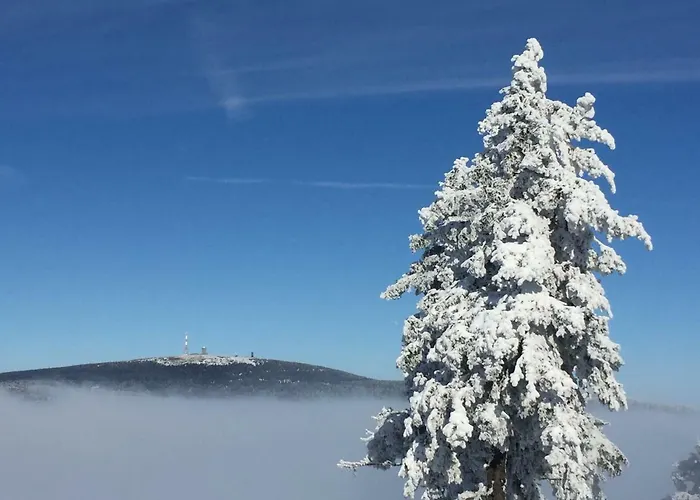 Harz-flair 264 Apartman *