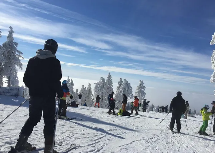 Harz-flair 264 아파트