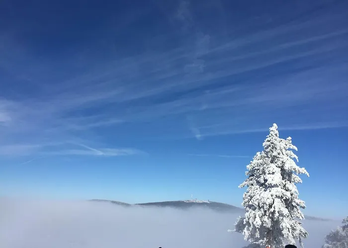 Apartman Harz-flair 264 Hohegeiß