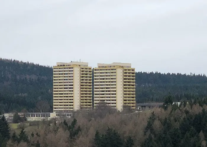 Harz-flair 264 Hohegeiß