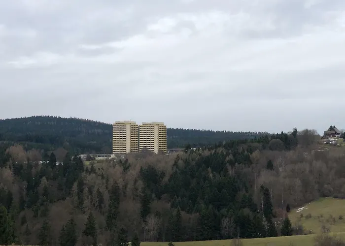 Harz-flair 264 Apartman Hohegeiß